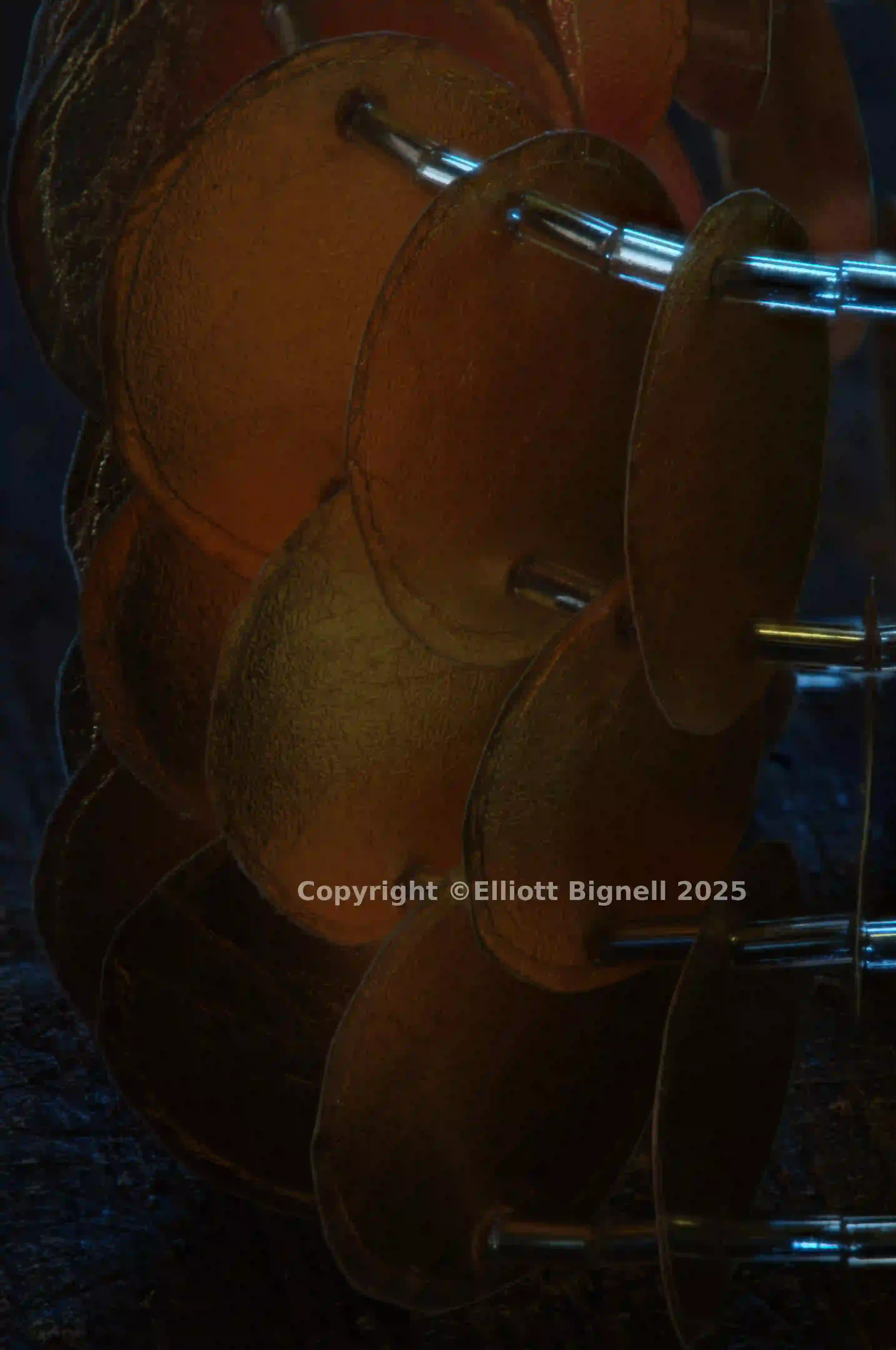 2013-11-10-20.16.42 ZS PMax.jpg